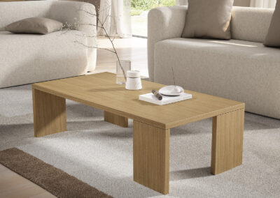 Proyectos de Mobiliario  